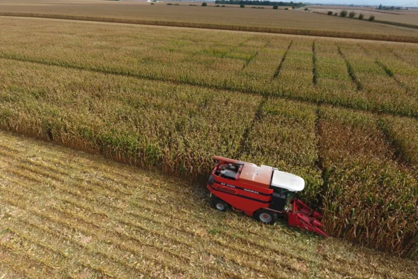 reseau-astria-alsace_evaluation-varietale_01 reseau-astria-alsace_evaluation-varietale_01