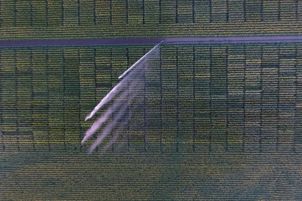 reseau-astria-alsace_evaluation-varietale_03 reseau-astria-alsace_evaluation-varietale_03