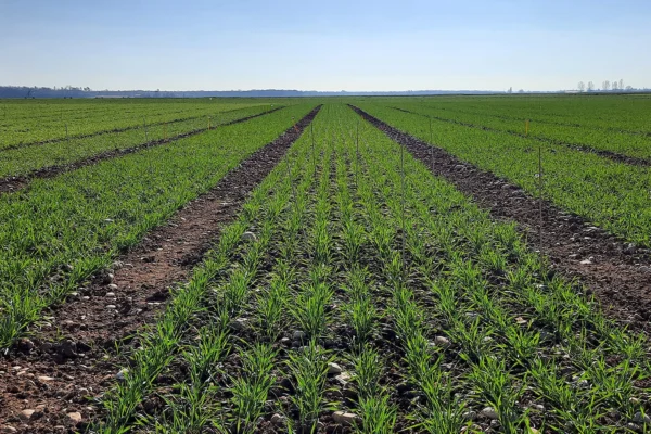 reseau-astria-alsace_nutrition-des-plantes_01 reseau-astria-alsace_nutrition-des-plantes_01