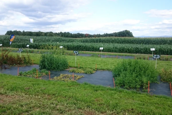 reseau-astria-alsace_protection-des-plantes_01 reseau-astria-alsace_protection-des-plantes_01