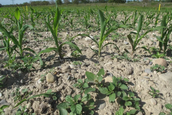 reseau-astria-alsace_protection-des-plantes_06 reseau-astria-alsace_protection-des-plantes_06