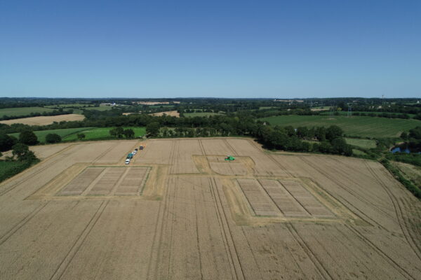 DCIM100MEDIADJI_0599.JPG DCIM100MEDIADJI_0599.JPG