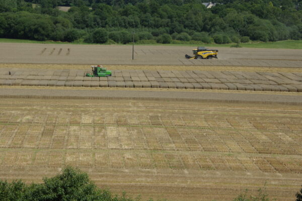 BRETAGNE_récolte BRETAGNE_récolte