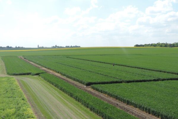 DSCN2020 Plateforme DSCN2020 Plateforme