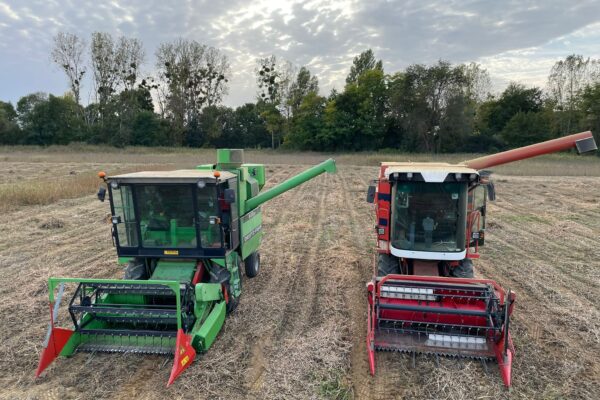 IMG-20250206-WA0000 IMG-20250206-WA0000