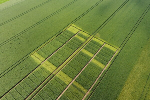 DCIM100MEDIADJI_0788.JPG DCIM100MEDIADJI_0788.JPG