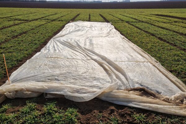 NUTRITION_modulsation dose azote NUTRITION_modulsation dose azote