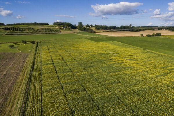 Dronefoto's Duras 2016-08-01, Duras, Frankrijk. Dronefoto's Chilou en Laulan.