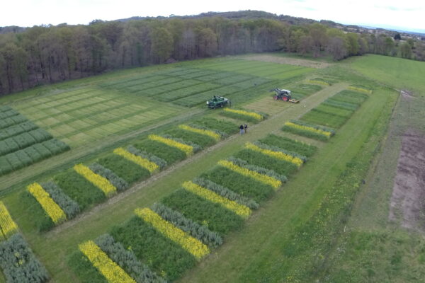 DCIM100GOPRO DCIM100GOPRO