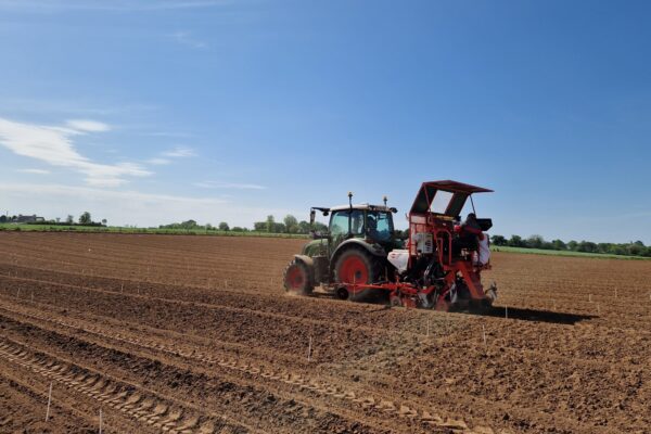 MATERIEL_semis maïs MATERIEL_semis maïs