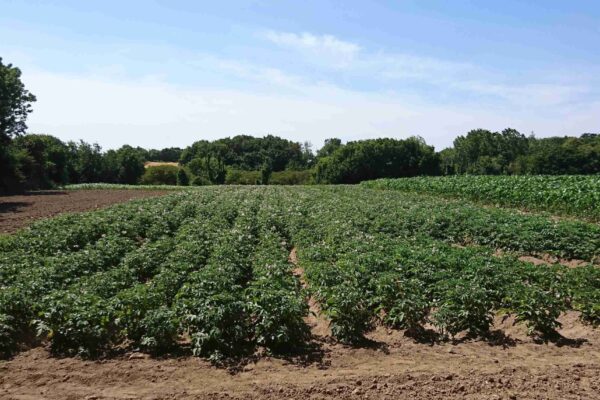 NUTRITION_ferti pdt NUTRITION_ferti pdt