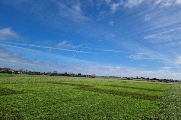 NUTRITION_ferti prairie 1 NUTRITION_ferti prairie 1