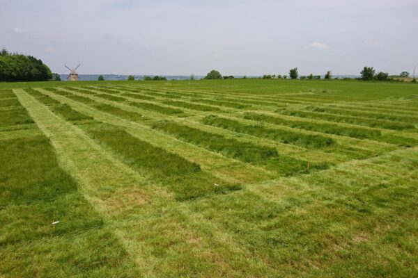 NUTRITION_ferti prairie 2 NUTRITION_ferti prairie 2