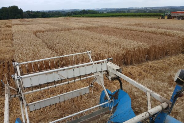Nord_aquitaine_essais blé qualité Nord_aquitaine_essais blé qualité