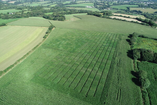 DCIM100MEDIADJI_0001.JPG DCIM100MEDIADJI_0001.JPG