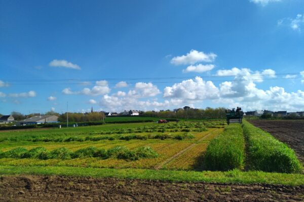 VARIETES_récolte variétés fourragères VARIETES_récolte variétés fourragères