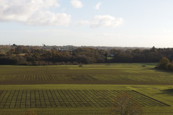 OLYMPUS DIGITAL CAMERA OLYMPUS DIGITAL CAMERA