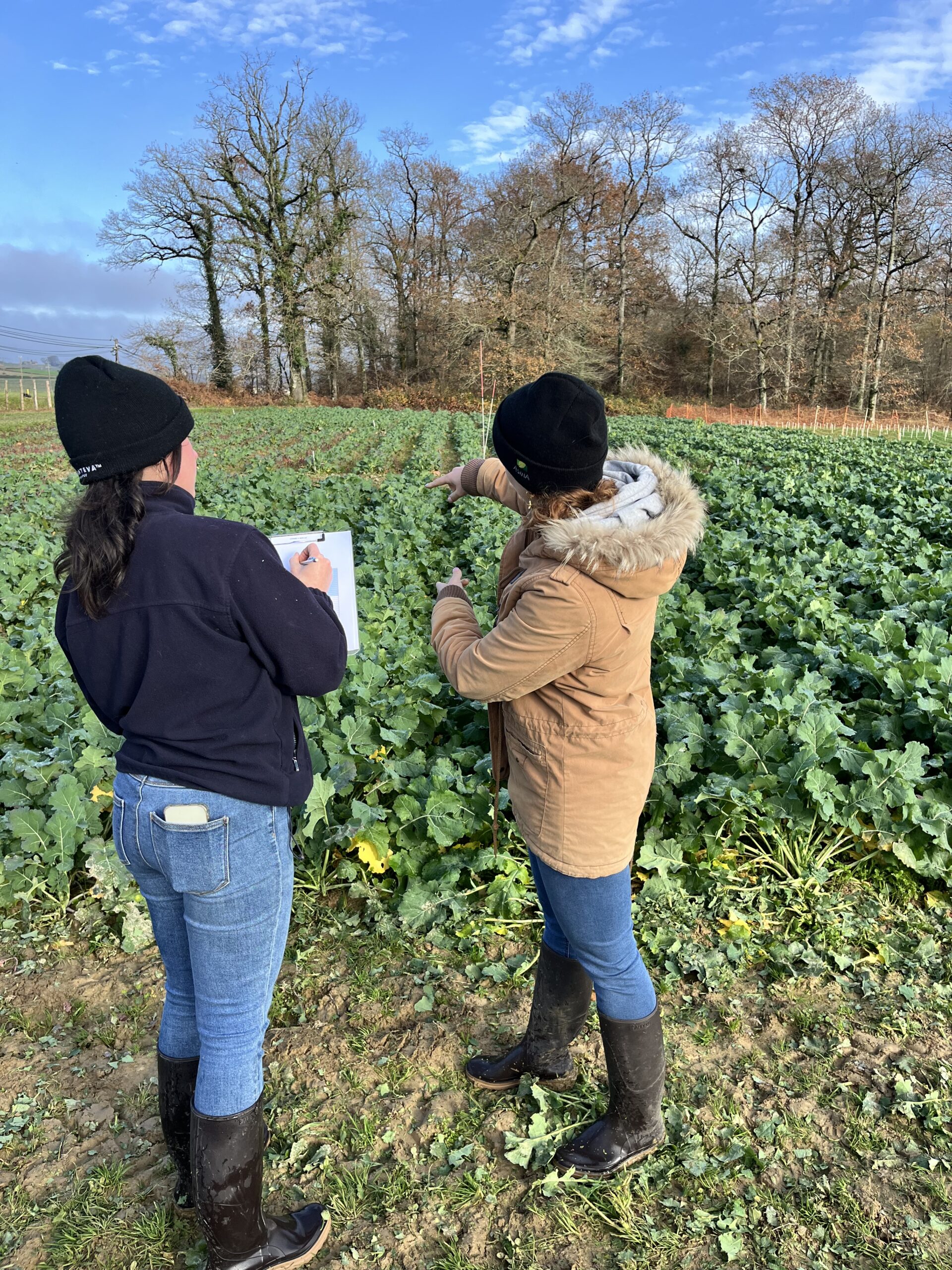 Former les professionnels de demain