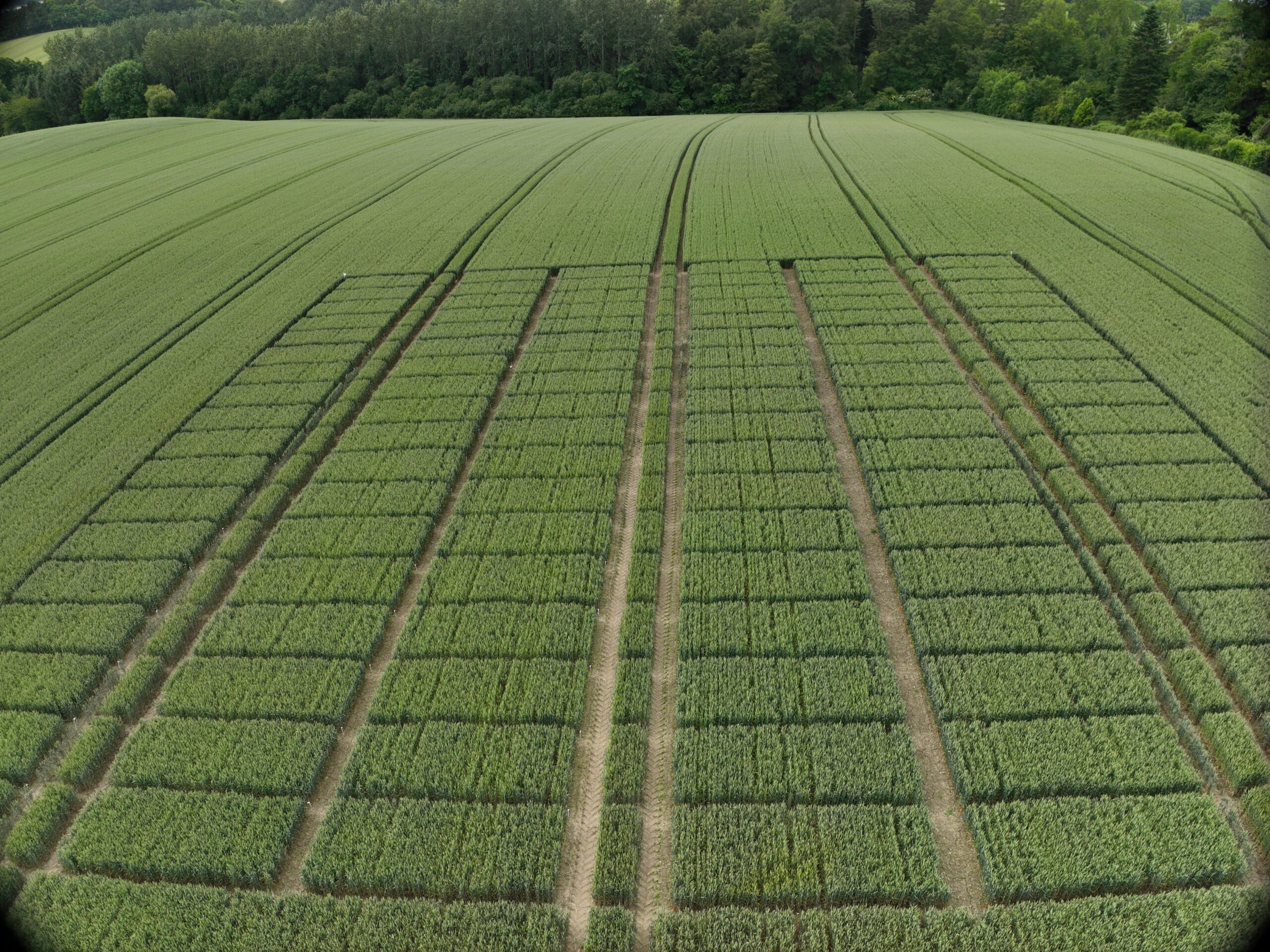 Services de vol en imagerie RGB et multispectrale