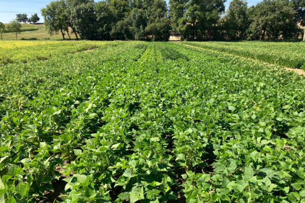 TARN_GARONNE_resultat 1 TARN_GARONNE_resultat 1