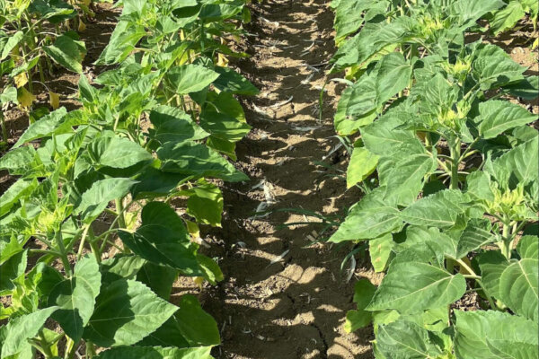 TARN_GARONNE_resultat 3 TARN_GARONNE_resultat 3