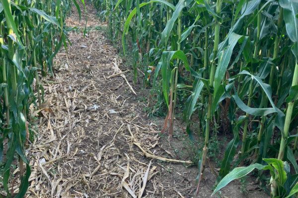 TARN_GARONNE_resultat 4 TARN_GARONNE_resultat 4