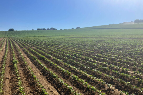 TARN_GARONNE_resultat 6 TARN_GARONNE_resultat 6