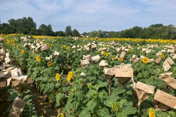 TARN_GARONNE_resultat 7 TARN_GARONNE_resultat 7