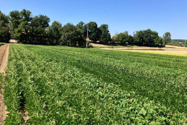 TARN_GARONNE_resultat 8 TARN_GARONNE_resultat 8