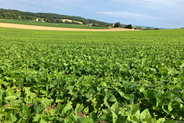 TARN_GARONNE_résultat 9 TARN_GARONNE_résultat 9